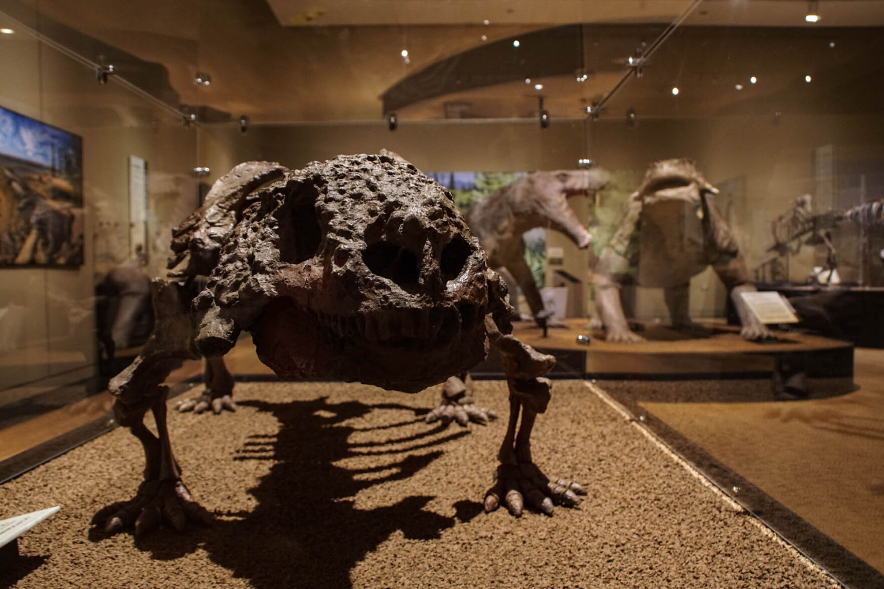 Fossil